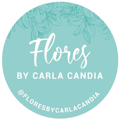 Flores by Carla Candia